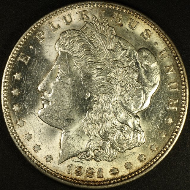 Another-Coin-Photographer-Down-The-Rabbit-Hole.