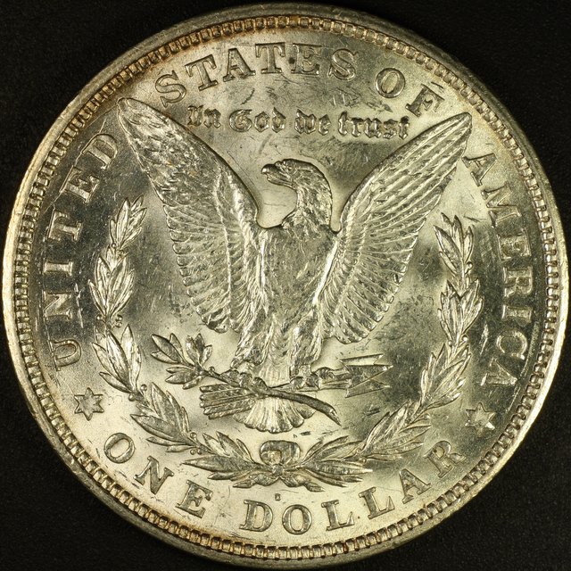 Another-Coin-Photographer-Down-The-Rabbit-Hole.