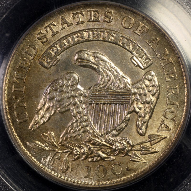 32-Day-Extravaganza-Of-Capped-Bust-Coins!!