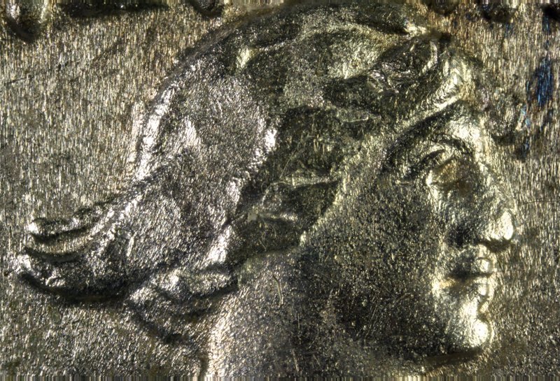 Another-Coin-Photographer-Down-The-Rabbit-Hole.