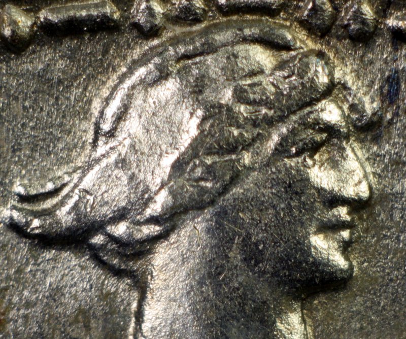 Another-Coin-Photographer-Down-The-Rabbit-Hole.
