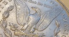Grade-My-1889-Morgan