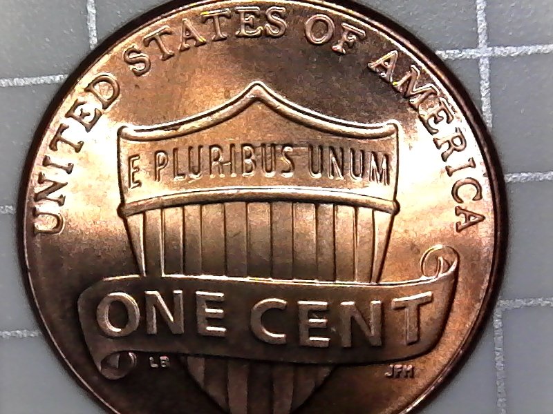 2017-P-Shield-Back-Penny-DD