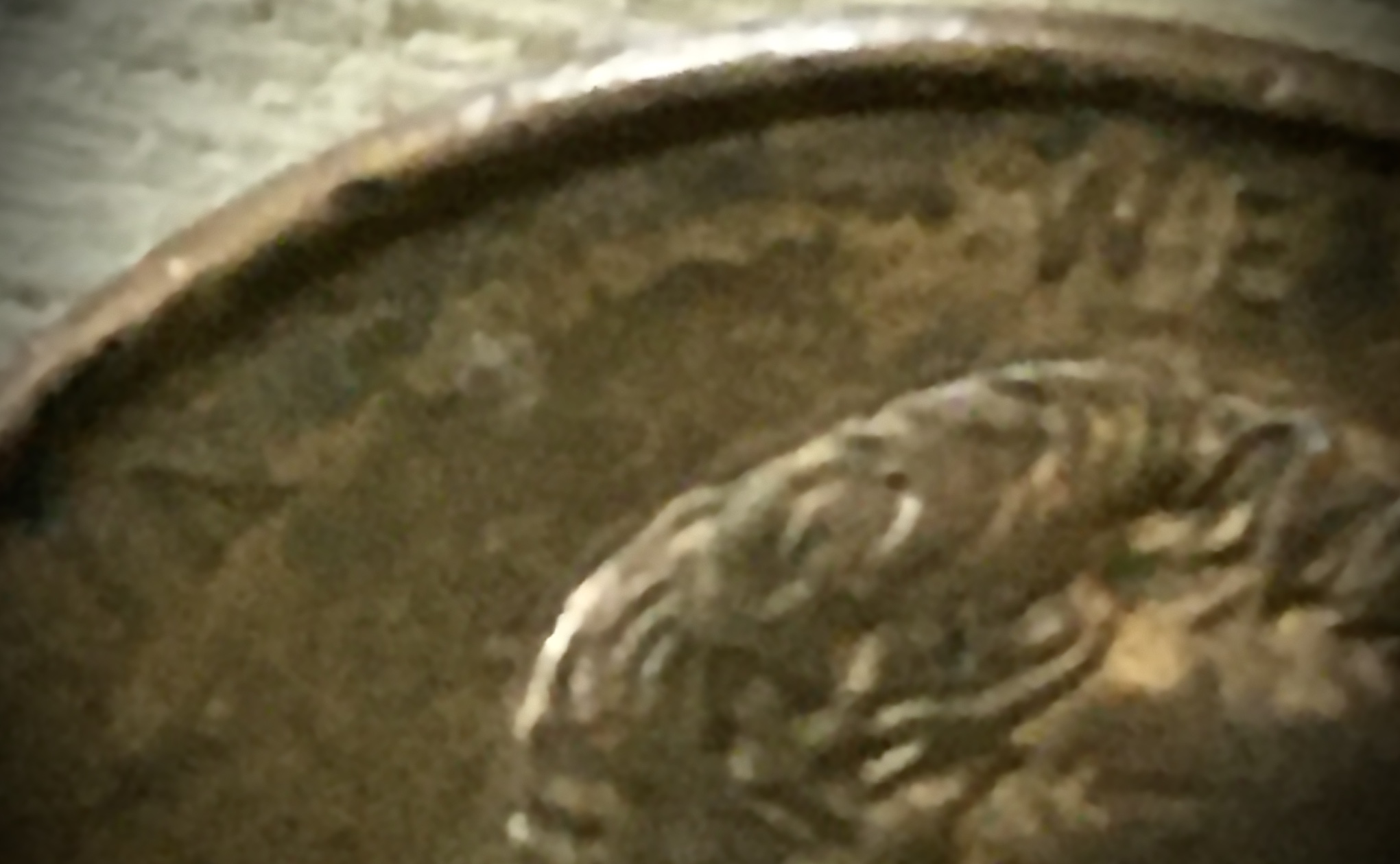1998-Error-Penny-No-God