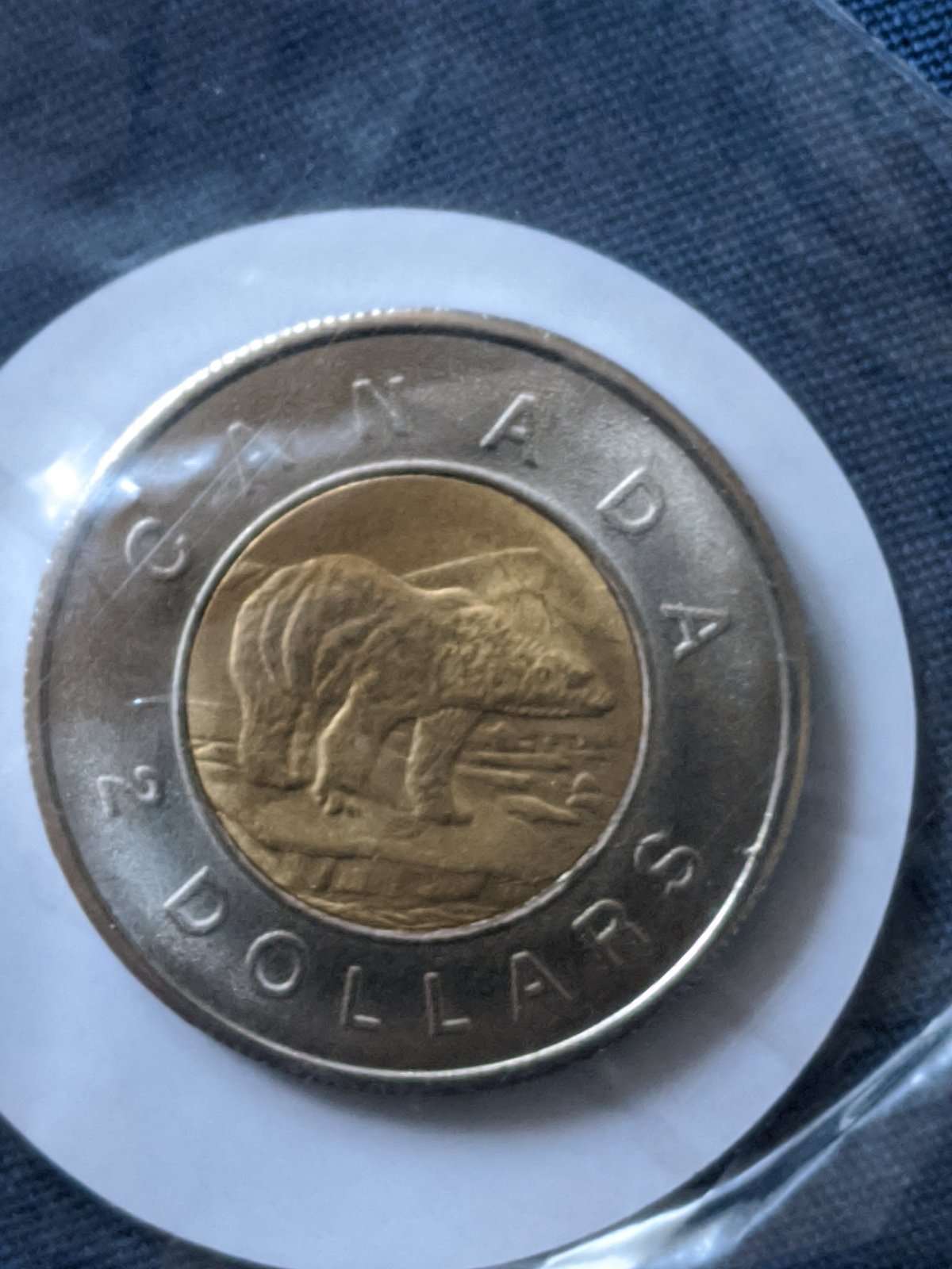 1996-Possible-Error-Toonies-Looks-Uncirculated,-Found-In-Circulation