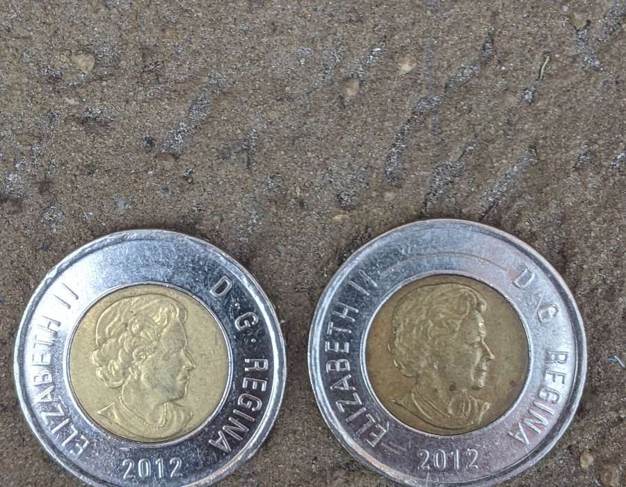 2012-Toonies,-Error-Or-Fake?