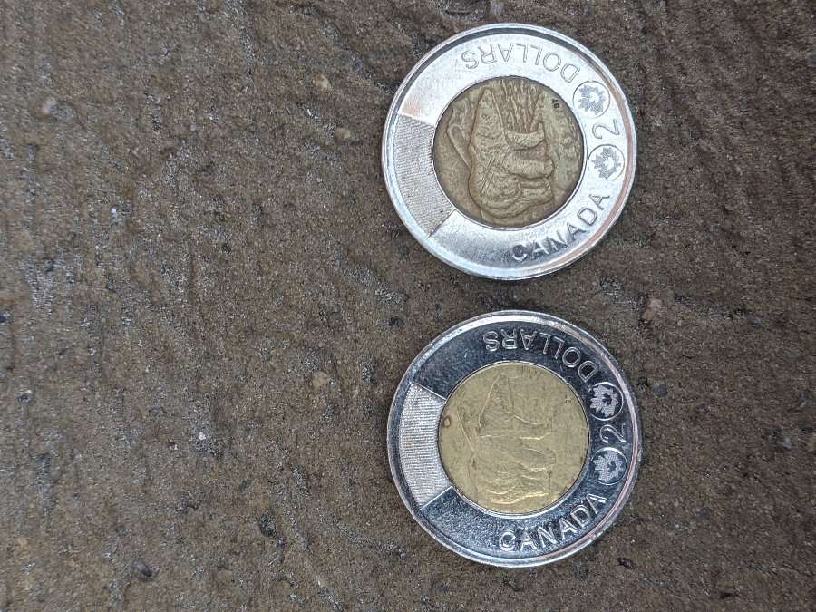 2012-Toonies,-Error-Or-Fake?