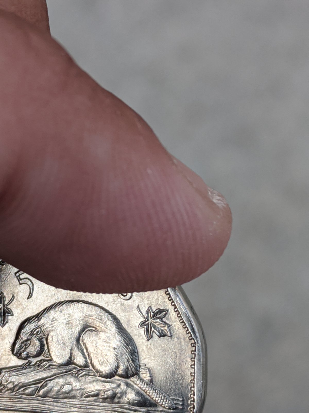 Is-There-Something-Going-On-With-This-1961-Nickel?