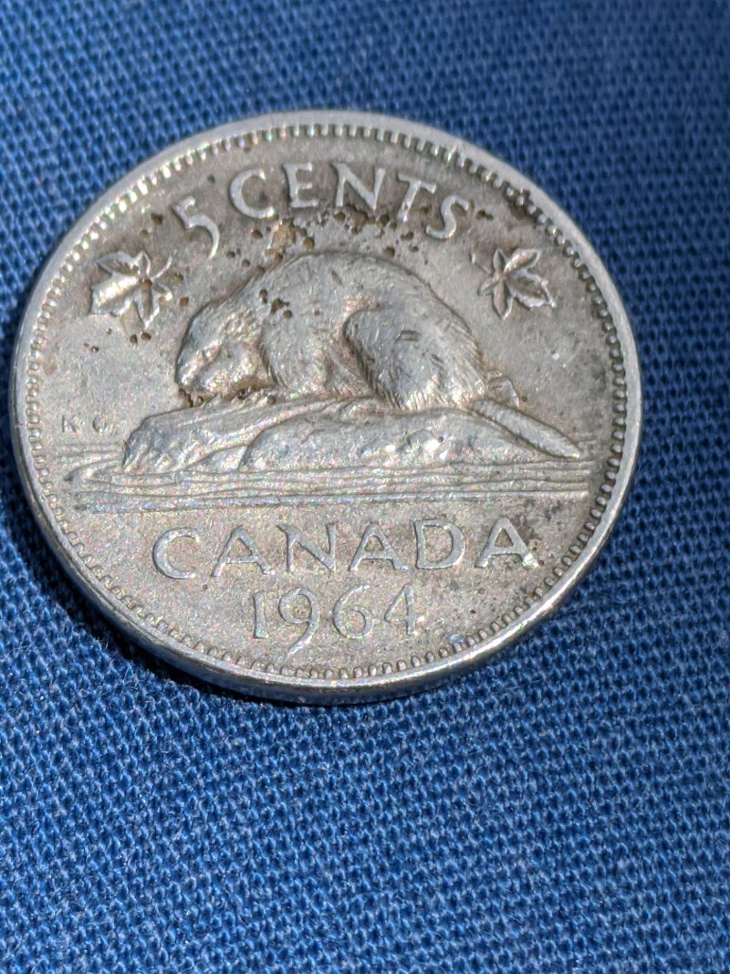 1964-Canadian-Nickel,-Damage?-Is-Nickel-Rot-A-Thing?