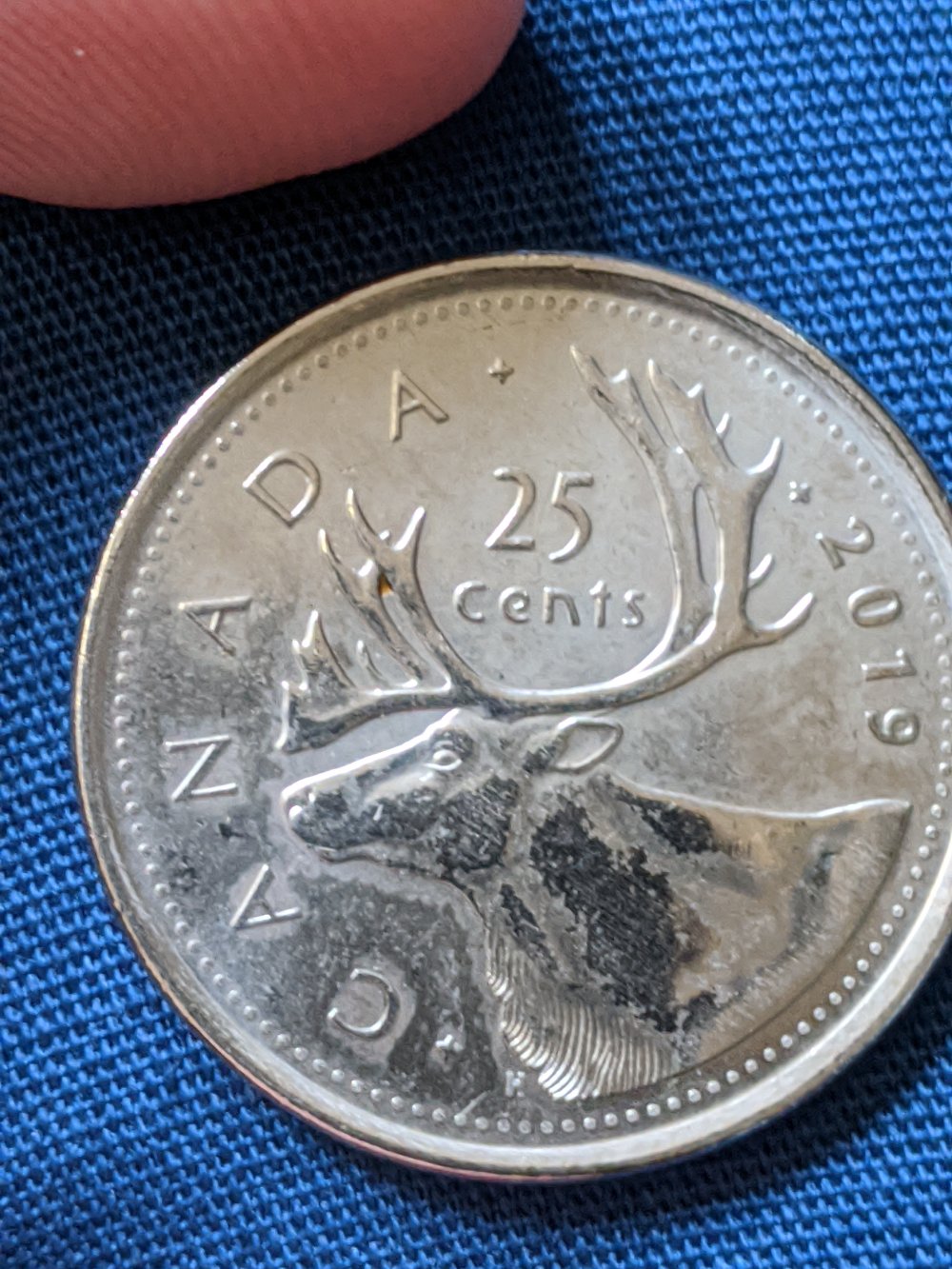 Is-This-A-Lamination-Error-On-This-2019-Canadian-Quarter?
