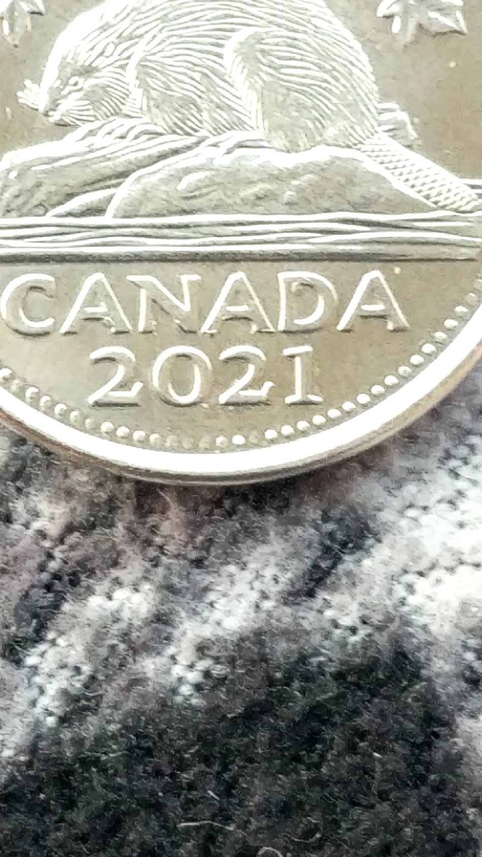 2021-Nickel,-4-5-Die-Chips-In-Canada,-Possible-MD?