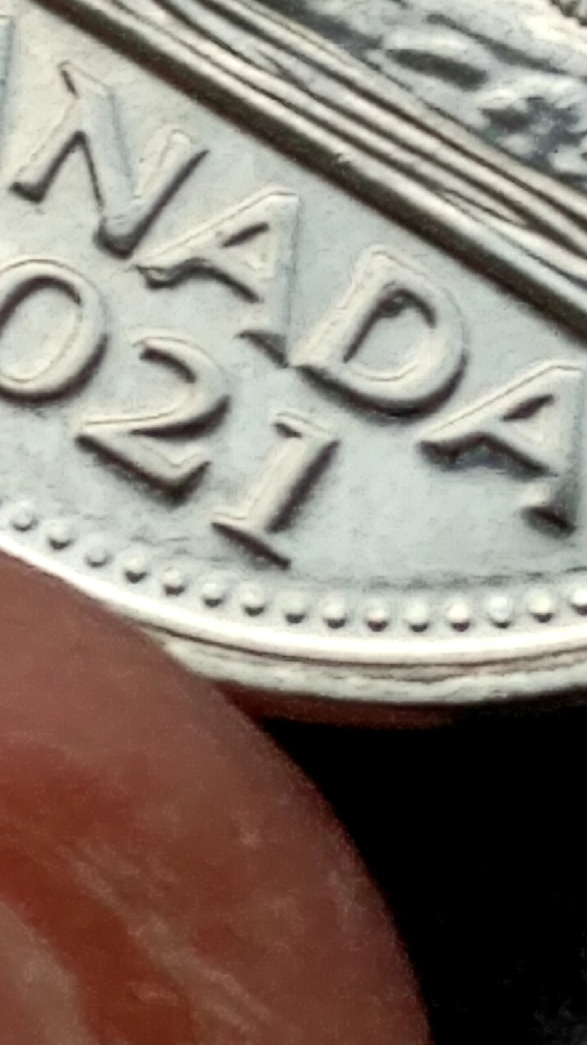 2021-Nickel,-4-5-Die-Chips-In-Canada,-Possible-MD?