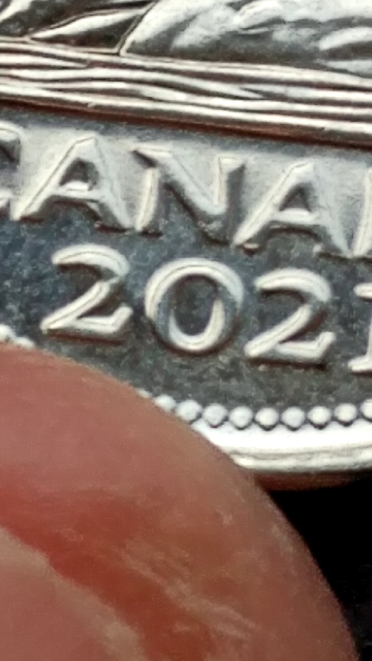2021-Nickel,-4-5-Die-Chips-In-Canada,-Possible-MD?