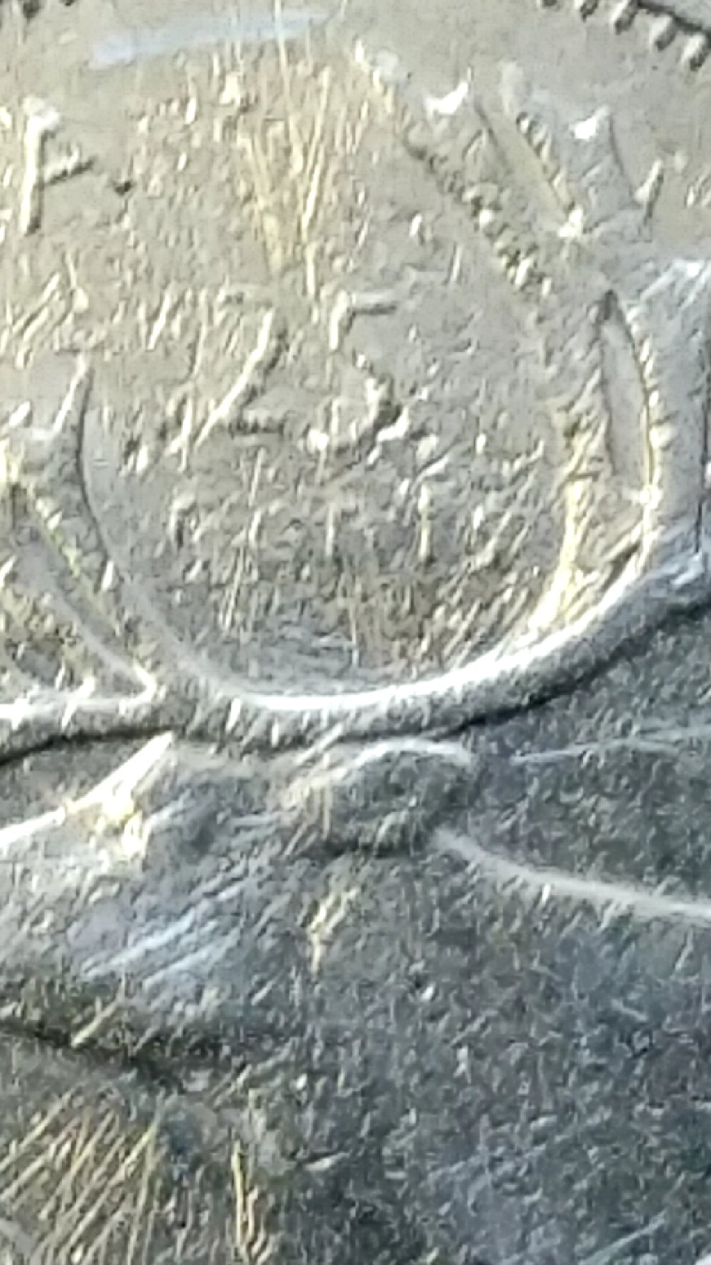 Struck-Through-Grease?-Or-Just-Really-Damaged?