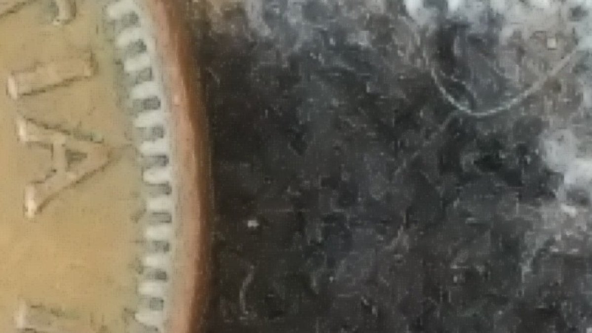 Can-You-Tell-From-These-Pictures-If-This-Is-1949-A-To-Denticle-Penny?