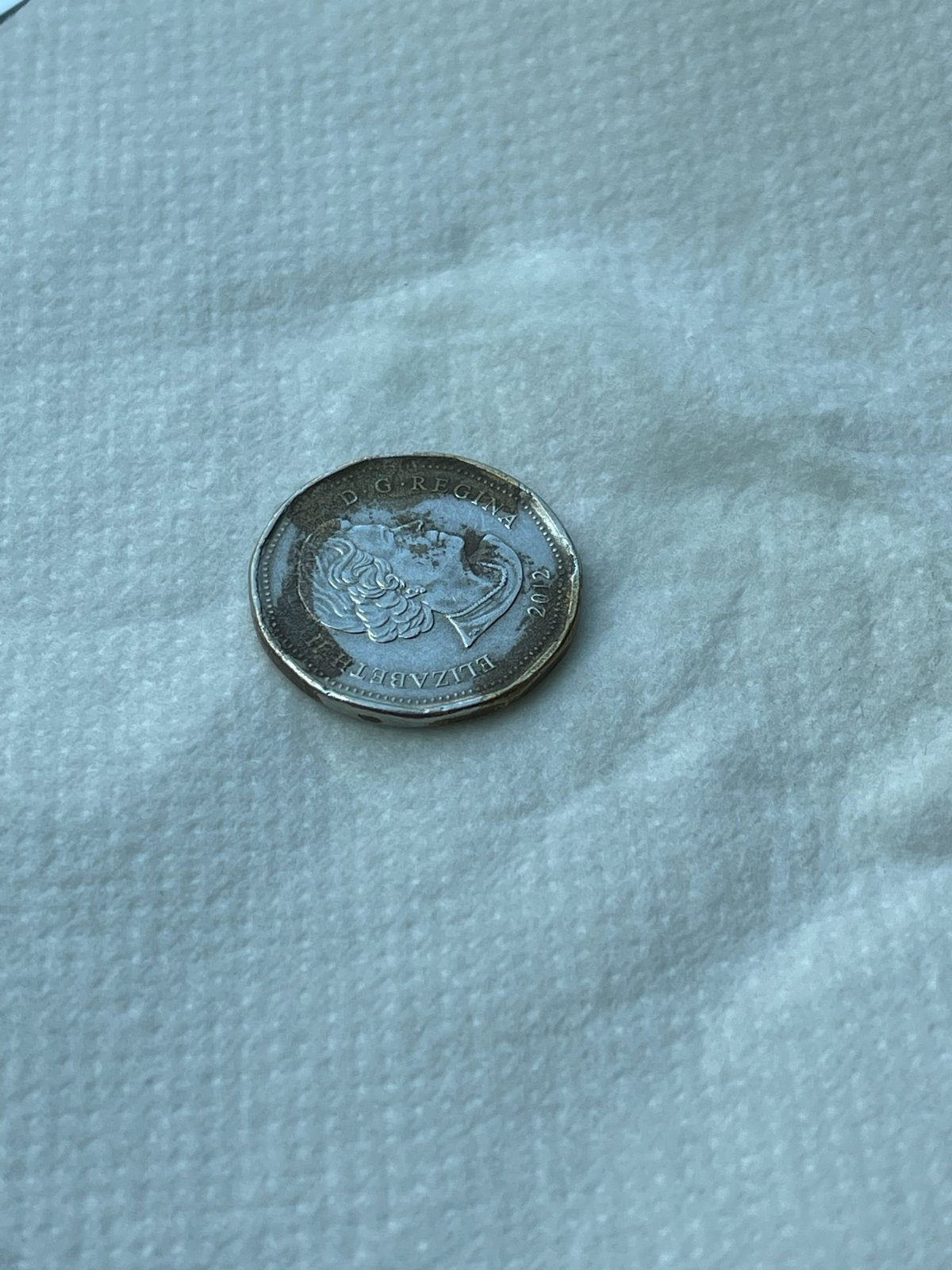 2012-Loonie-My-Friend-Has-,-Is-There-A-Possible-Plating-Issue?
