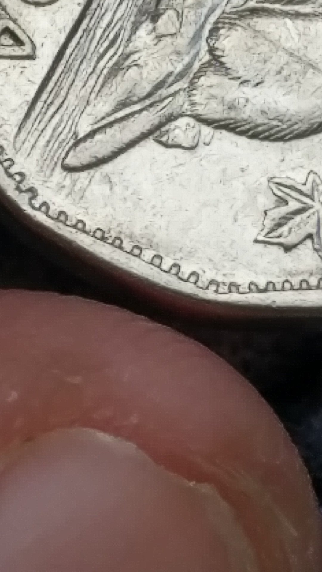 1957-Nickel-Over-Polished-Die-On-Log-Above-Beavers-Tail