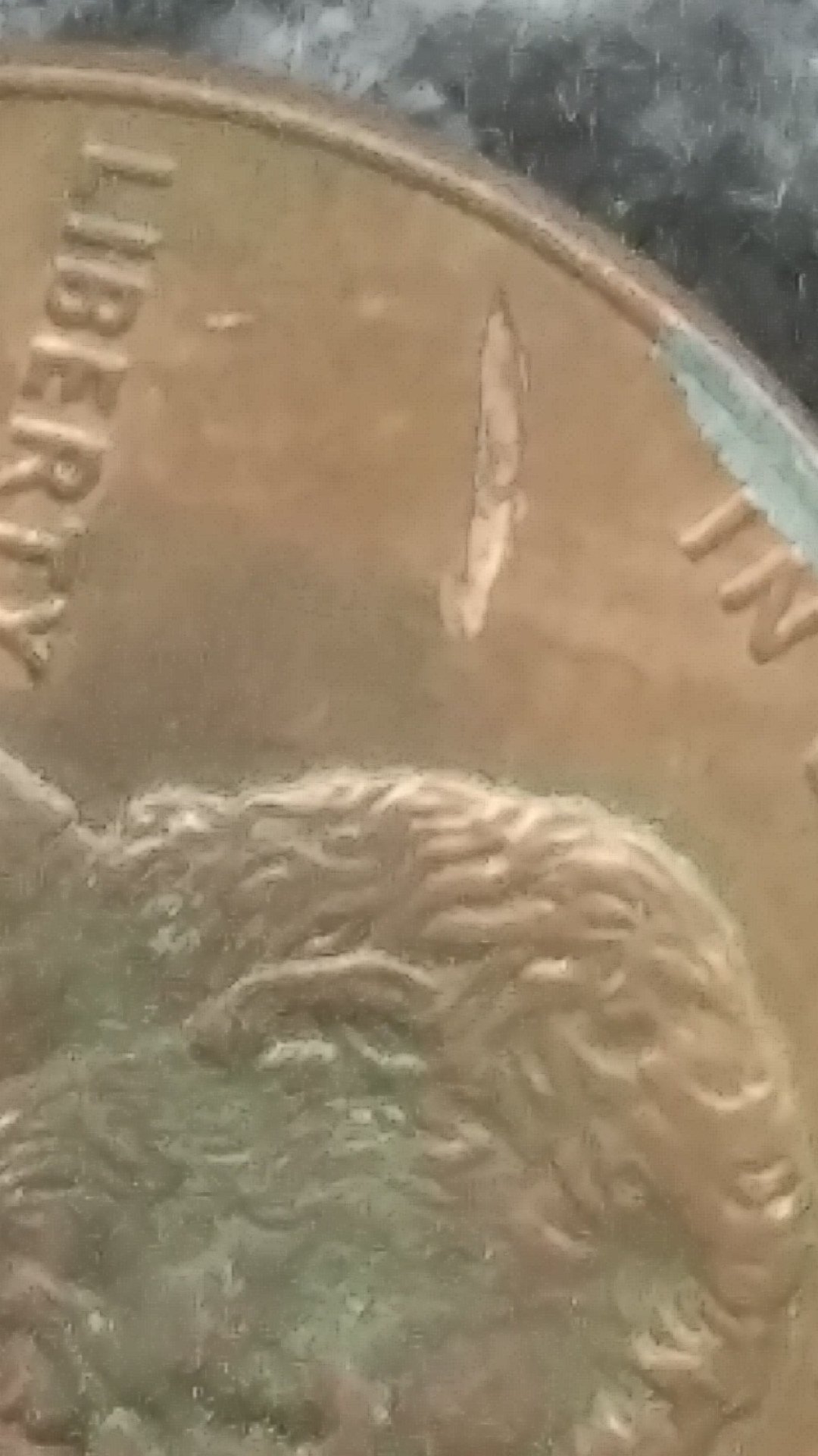 2006-Cent,-Is-This-Struck-Through-A-Foreign-Object-Or-PMD?