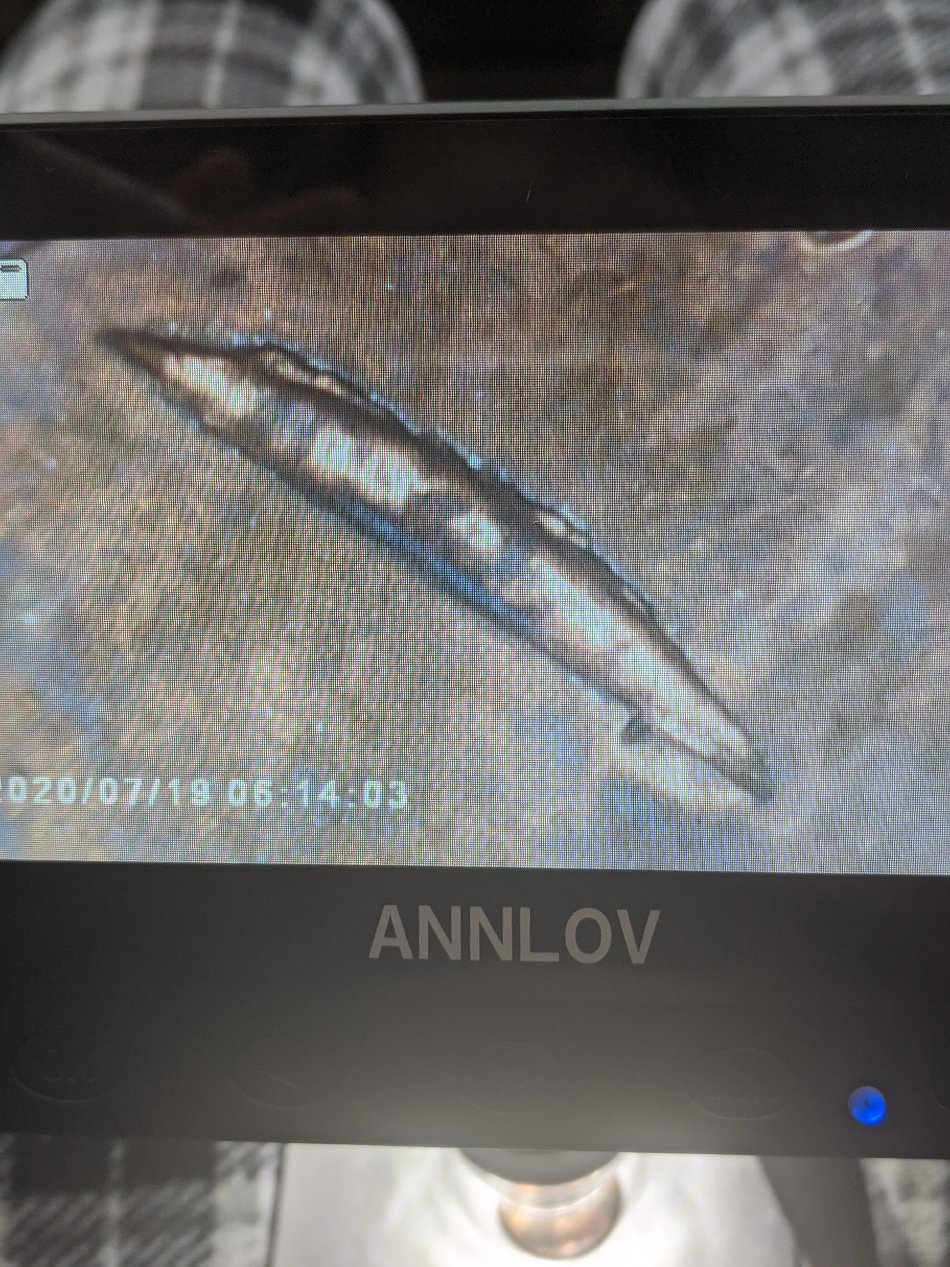 2006-Cent,-Is-This-Struck-Through-A-Foreign-Object-Or-PMD?