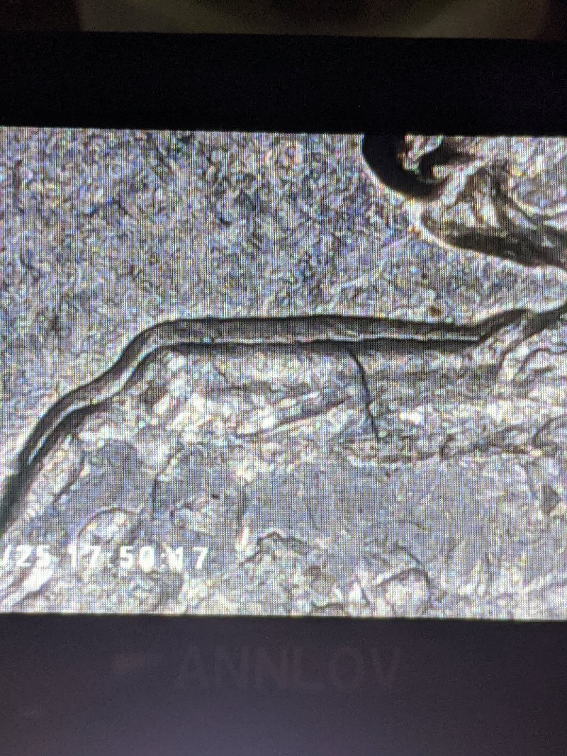 Has-Anyone-Found-A-1974-Doubled-Die-5-Cent?