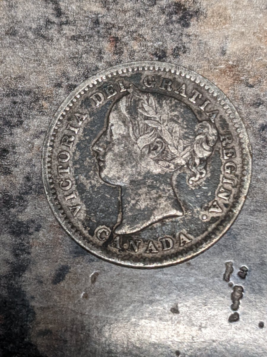 1900-10¢-Grading-Help
