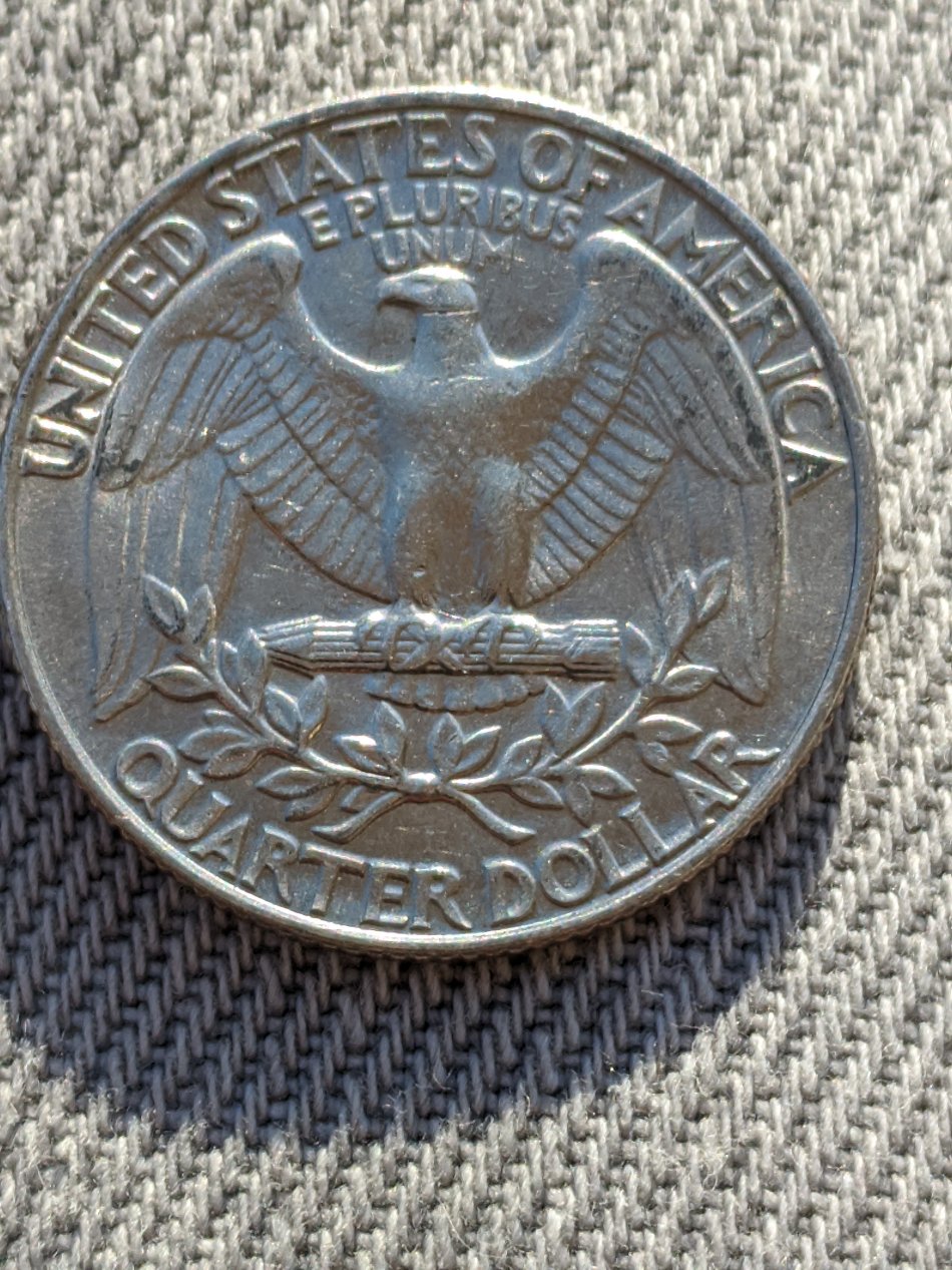 A-Fishy-Find,-1991-P-In-Cod-We-Trust-Quarter