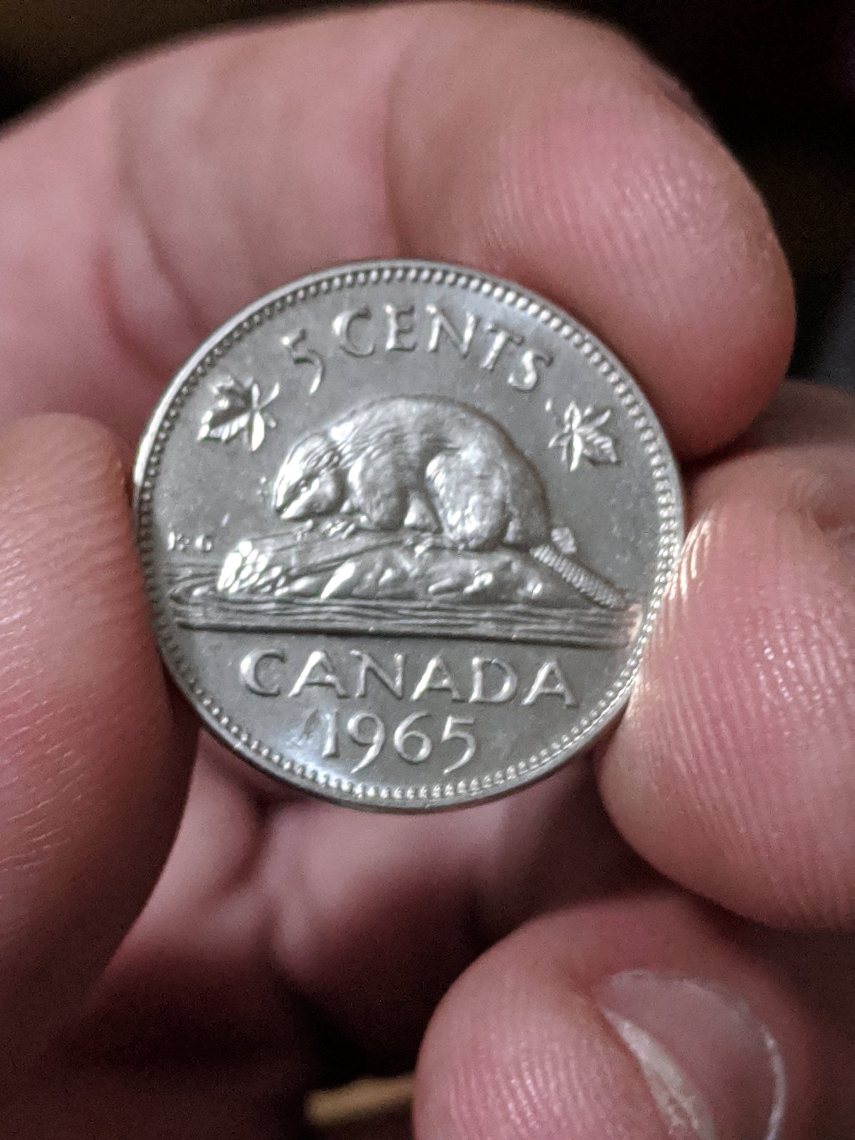 1965-Grade-Help-PL-Or-MS?-Grade?