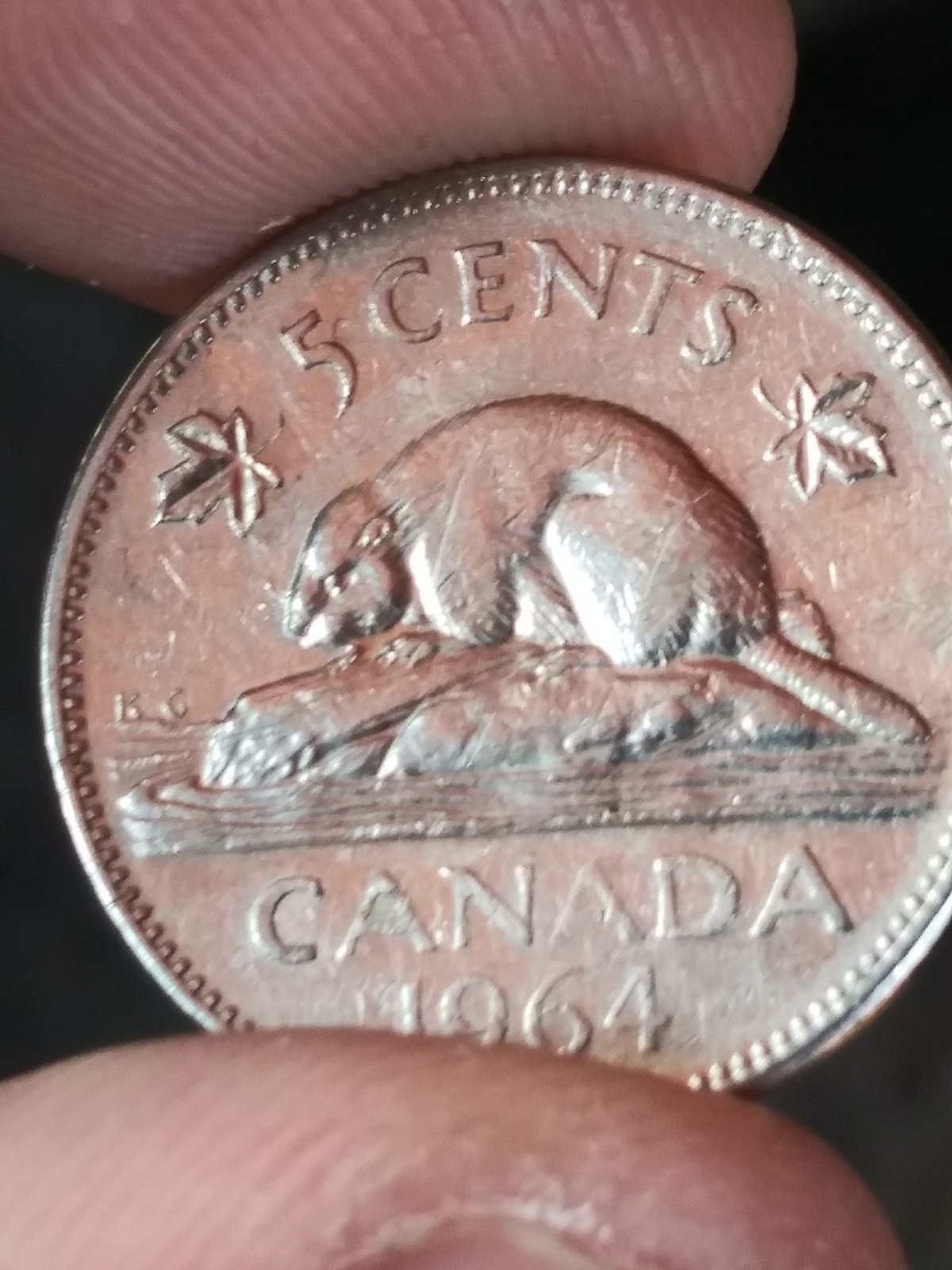 First-1964-Extra-Water-Line-Nickel-Find-While-Roll-Hunting.