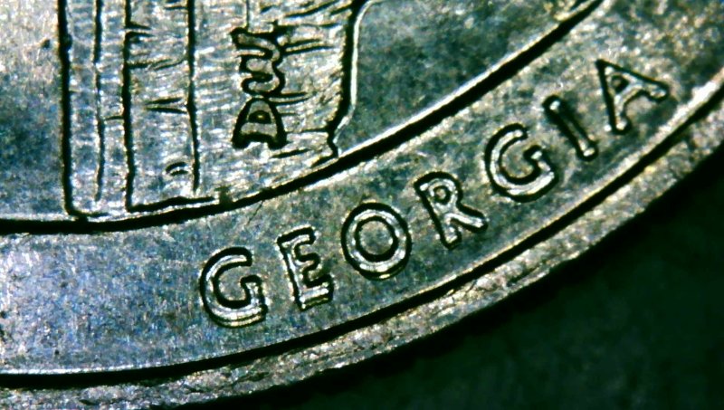2018-Georgia,-Cumberland-Island,-Quarter