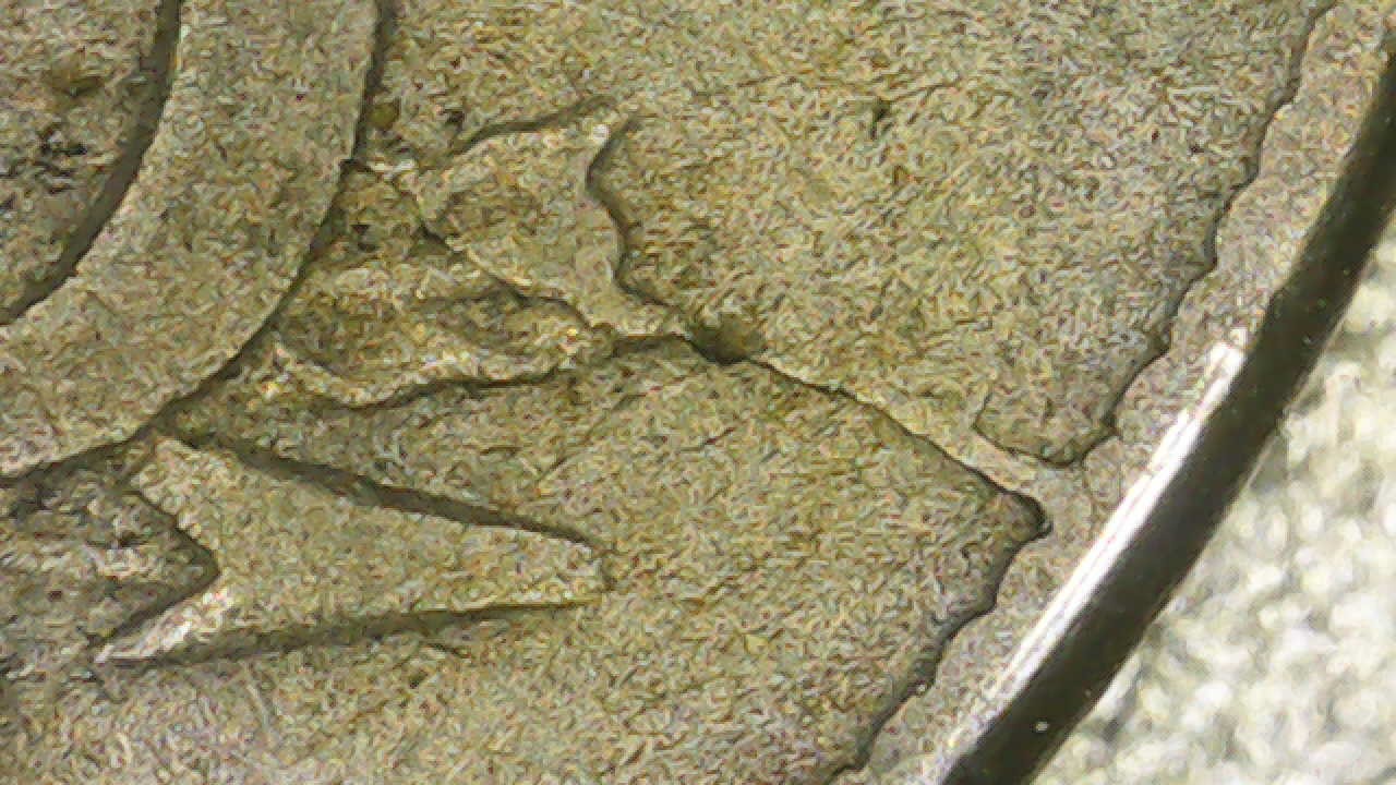 1867-Shield-Nickel.-Several-Die-Cracks.