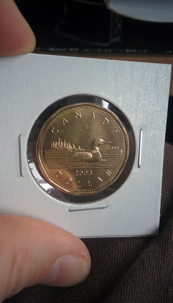 2003-Loon-Dollar-Question