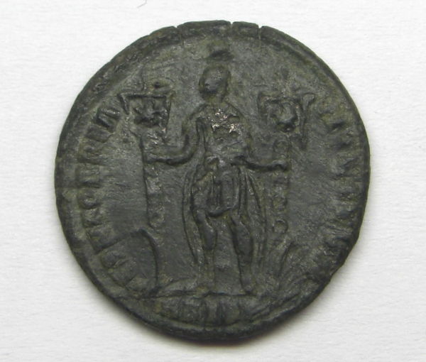 Constantius-Gallus-Identification