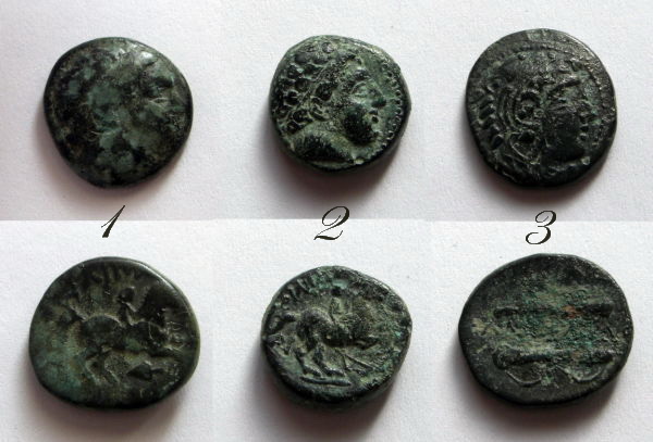 Any-Help-With-ID-And-Opinion