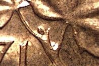 Is-This-1971-Penny-A-Double-Bud?
