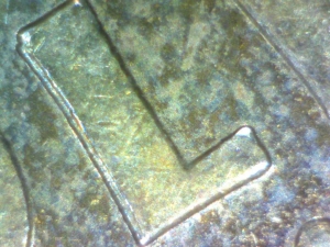2012-Loonie