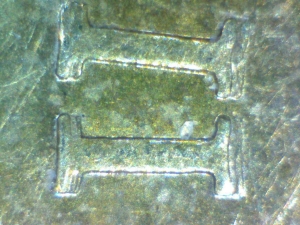 2012-Loonie