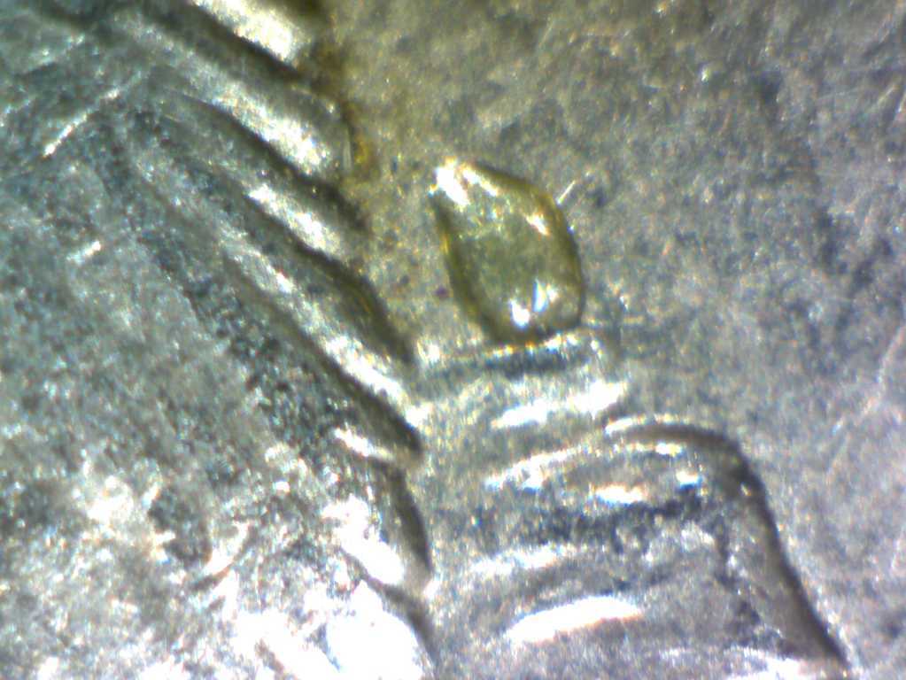 1975-Nickel