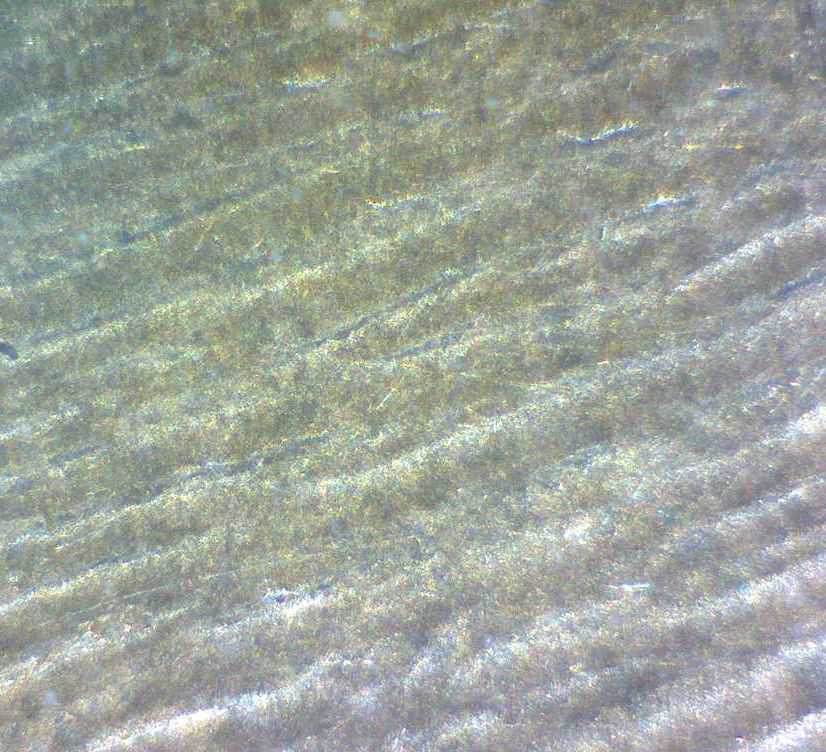 Rippled-Core?