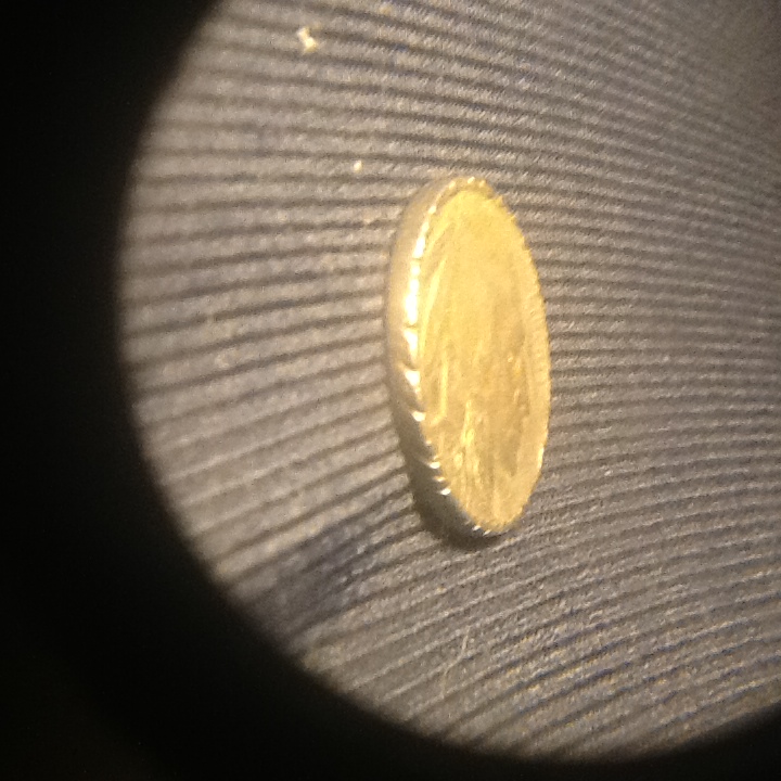 Buffalo-5-Cent-Strange-Gashes-Around-Rim.