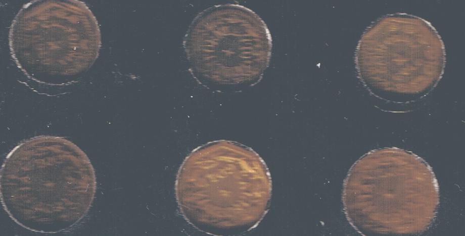 Gold-Fractionals?
