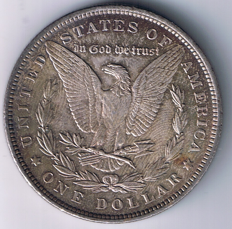 1889-Morgan,-I'm-Sending-It-In-To-PCGS