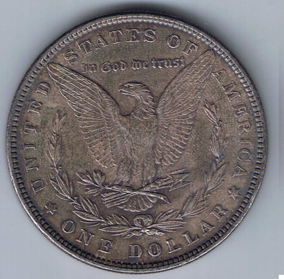 1882-Morgan---Off-To-PCGS-It-Goes
