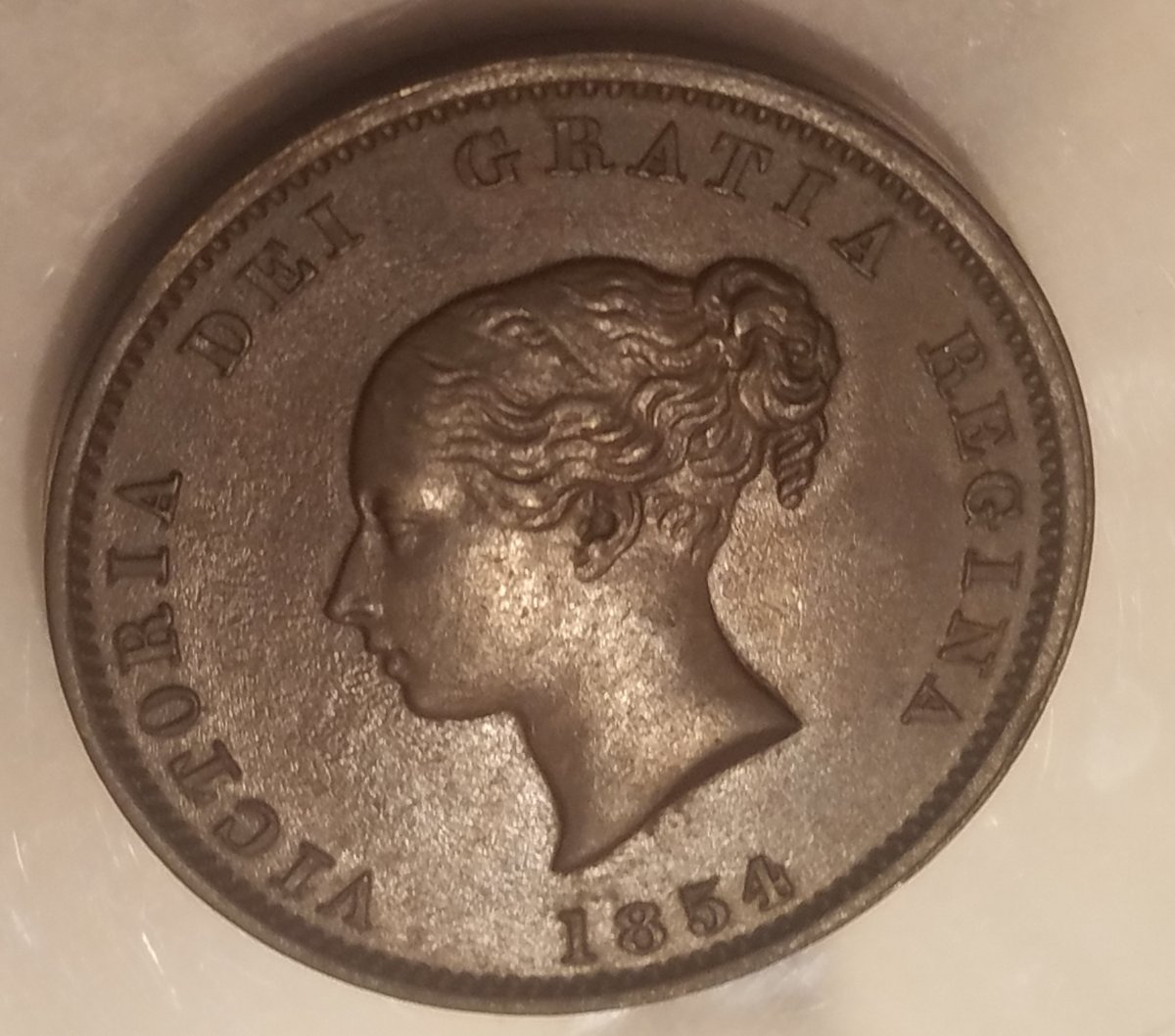 1854-New-Brunswick-Half-Penny,-Proof?