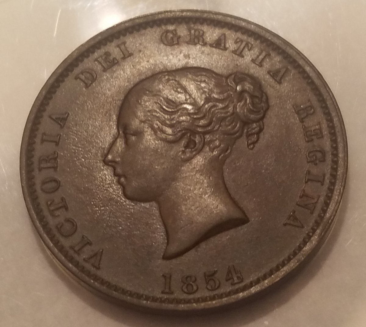 1854-New-Brunswick-Half-Penny,-Proof?