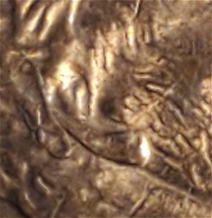 1996-D-Cent,-I-Believe-Has-A-Second-Ear.--Interior-Strike-?