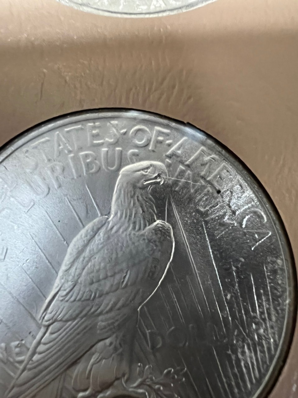 Peace-Dollars!-Has-Anyone-Ever-Seen-This-Before