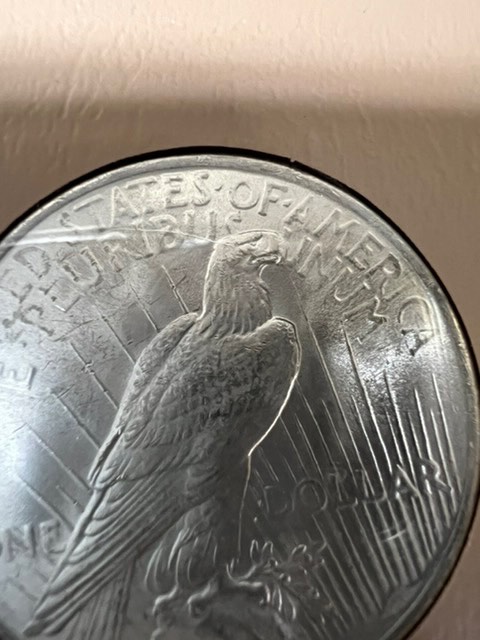 Peace-Dollars!-Has-Anyone-Ever-Seen-This-Before