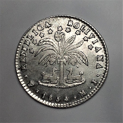 1854-Bolivia-Coin---Confused-And-Need-Some-Sharp-Minds-To-Assist