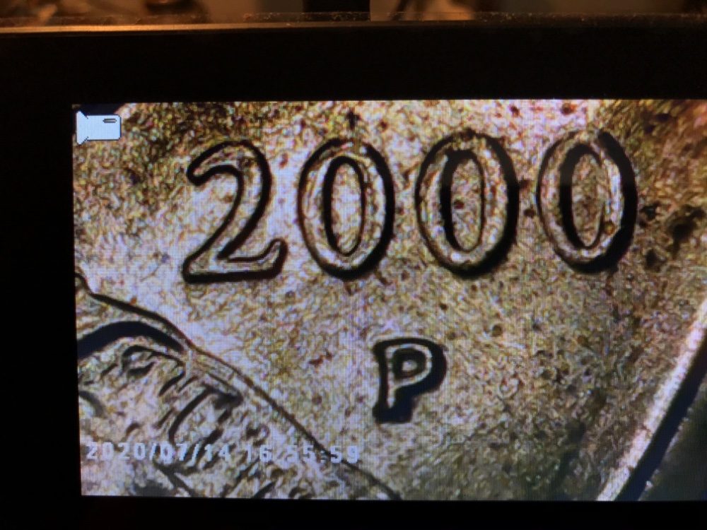 Machine-Doubling-Or-Doubled-Die?--2000-P-Sacagawea