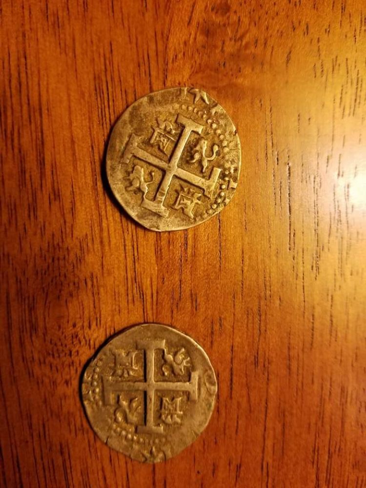 Can-Anyone-Help-Identify-These?